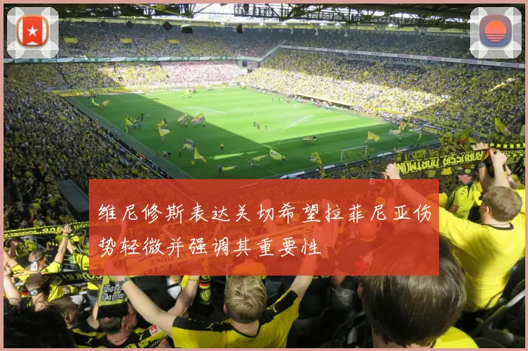 维尼修斯表达关切希望拉菲尼亚伤势轻微并强调其重要性