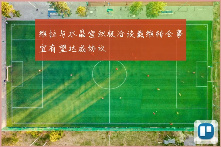 维拉与水晶宫积极洽谈戴维转会事宜有望达成协议