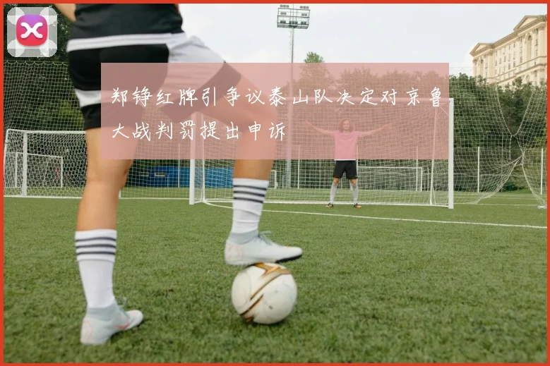 郑铮红牌引争议泰山队决定对京鲁大战判罚提出申诉